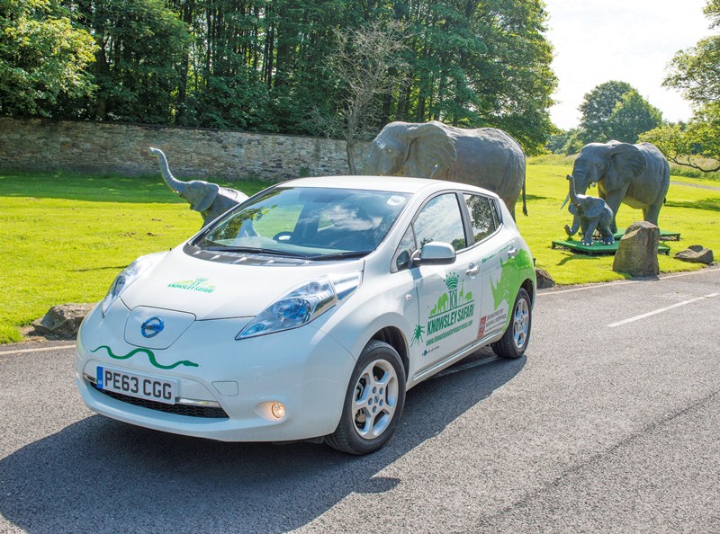 leafzoo2 | Memo Lira leafzoo2