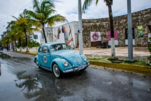 Rally Maya