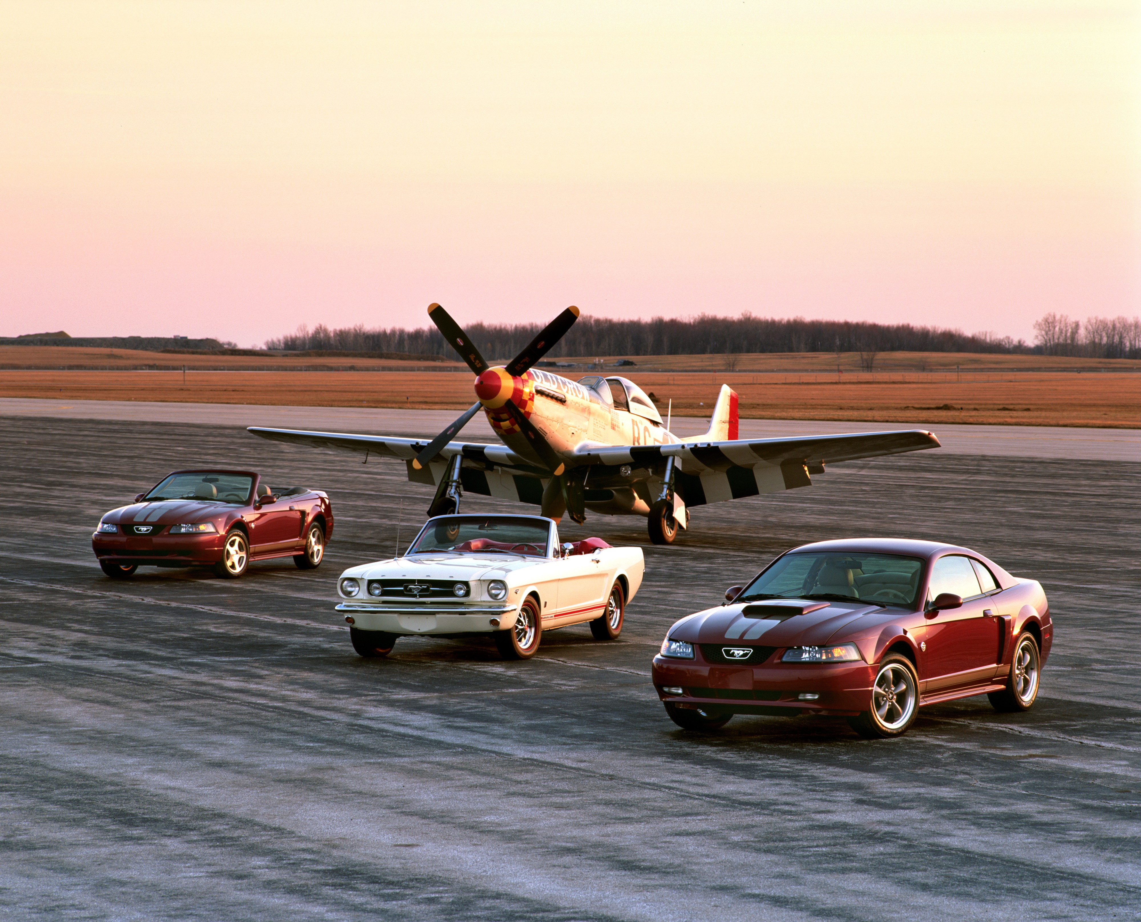 2004 and 1965 Mustang with P51 | Memo Lira