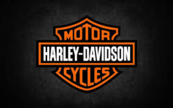 Harley-Davidson tiene nuevo CEO