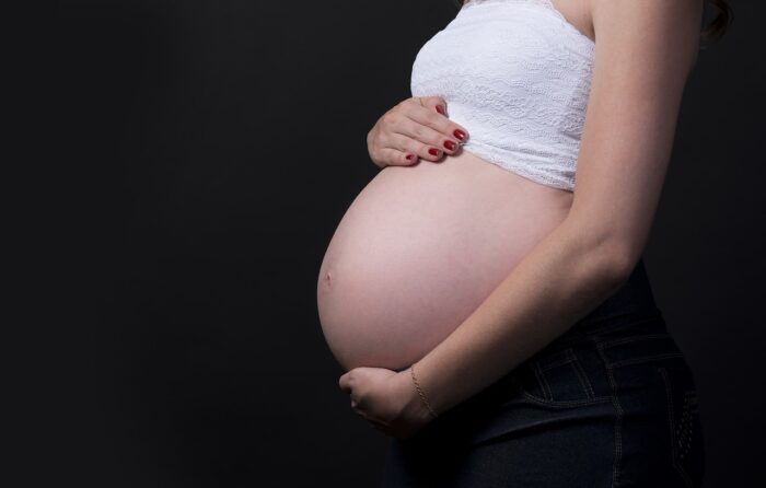 pregnant-2640994_1280 embarazo