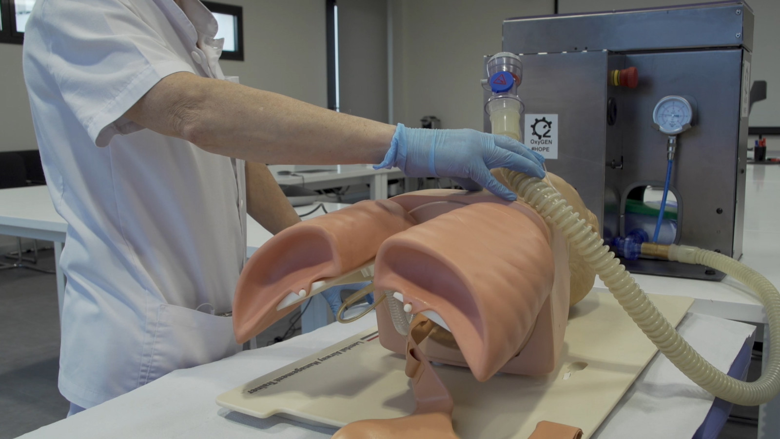 SEAT dona 100 mil euros a la lucha contra el Covid19 1 | Memo Lira