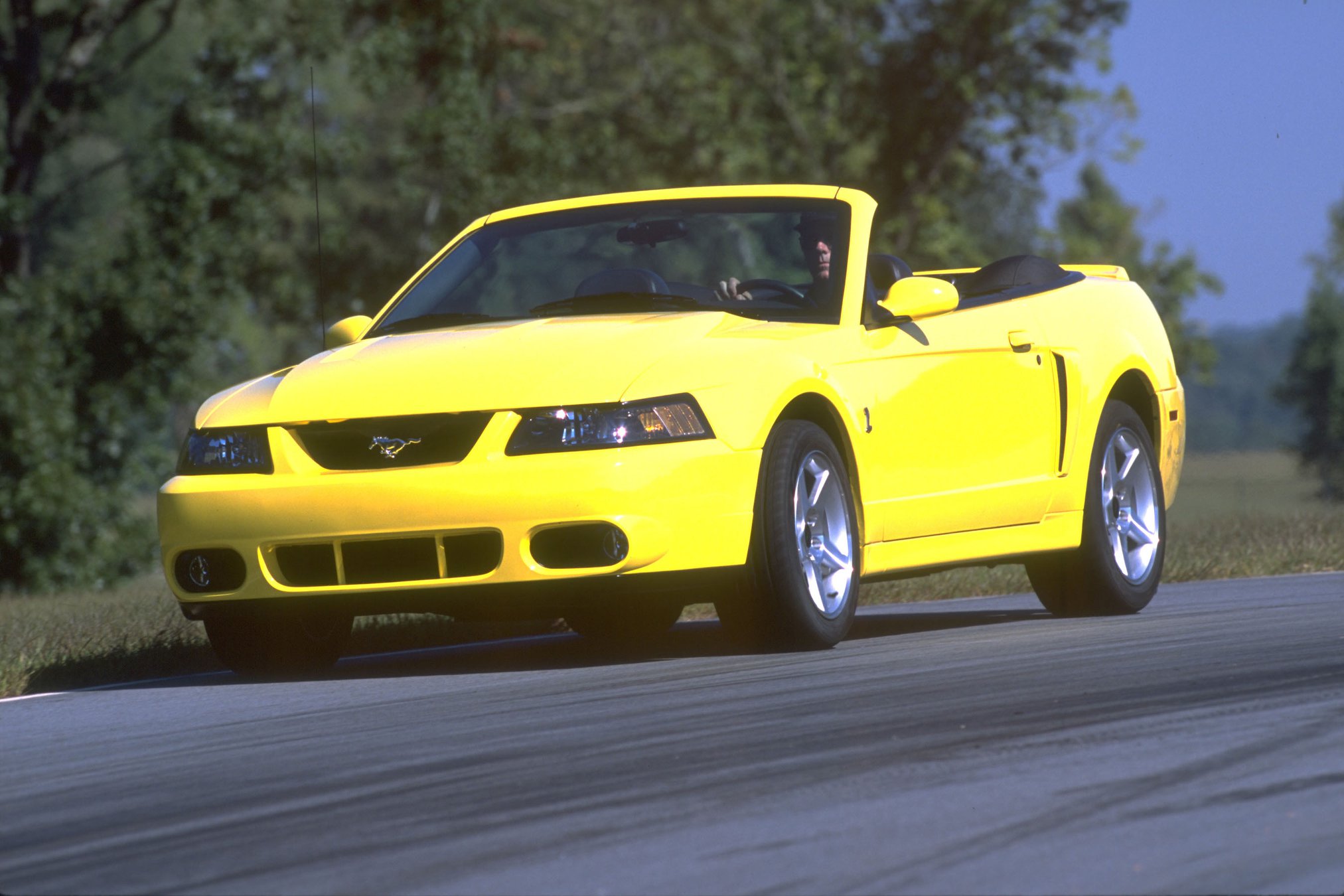 Ford Mustang Convertible 2003 | Memo Lira