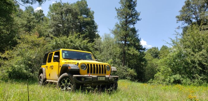 Jeep Wrangler Unlimited Rubicon Xtreme-jardin 9