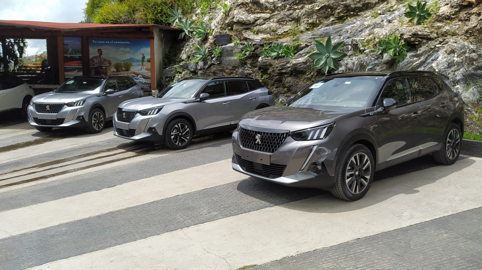 Peugeot 2008 3 | Memo Lira