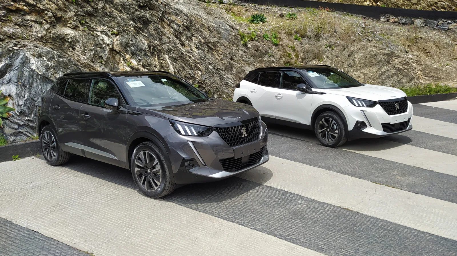 Peugeot 2008, un felino con gran personalidad