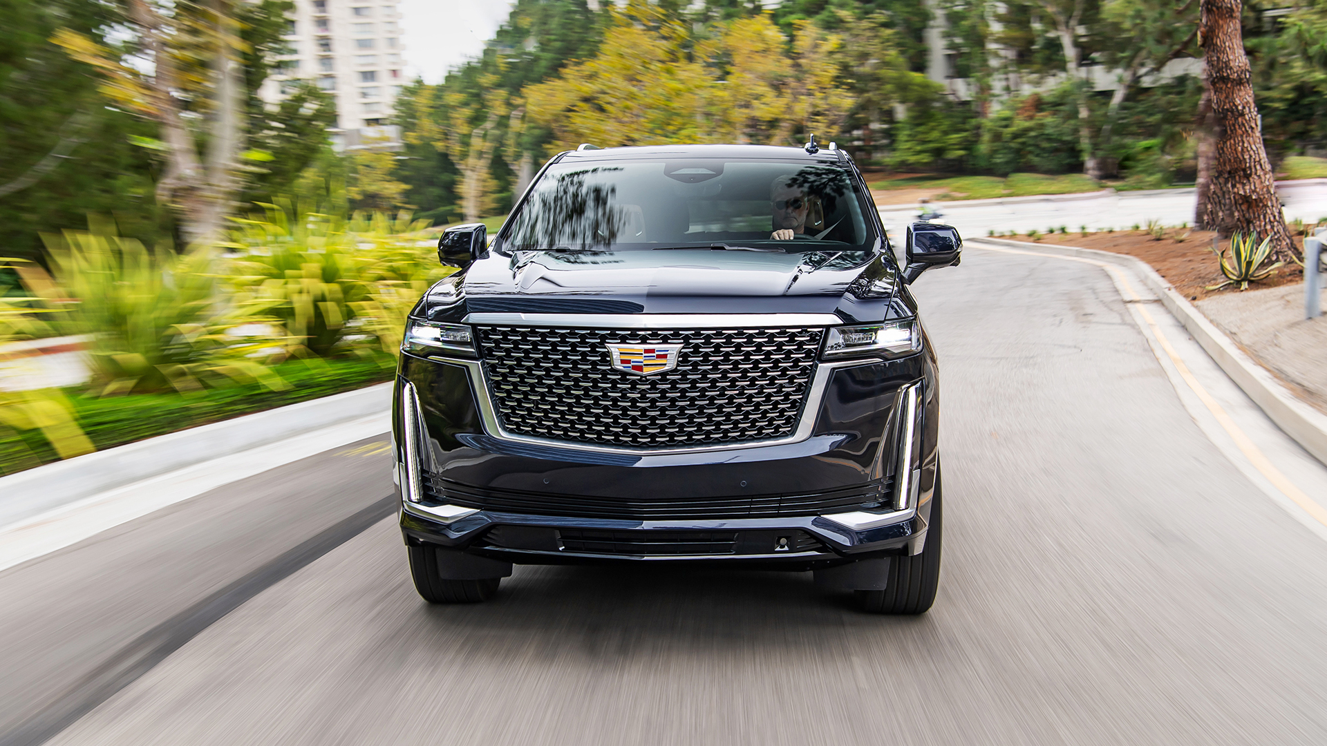 CADPAUTESC 2 | Memo Lira