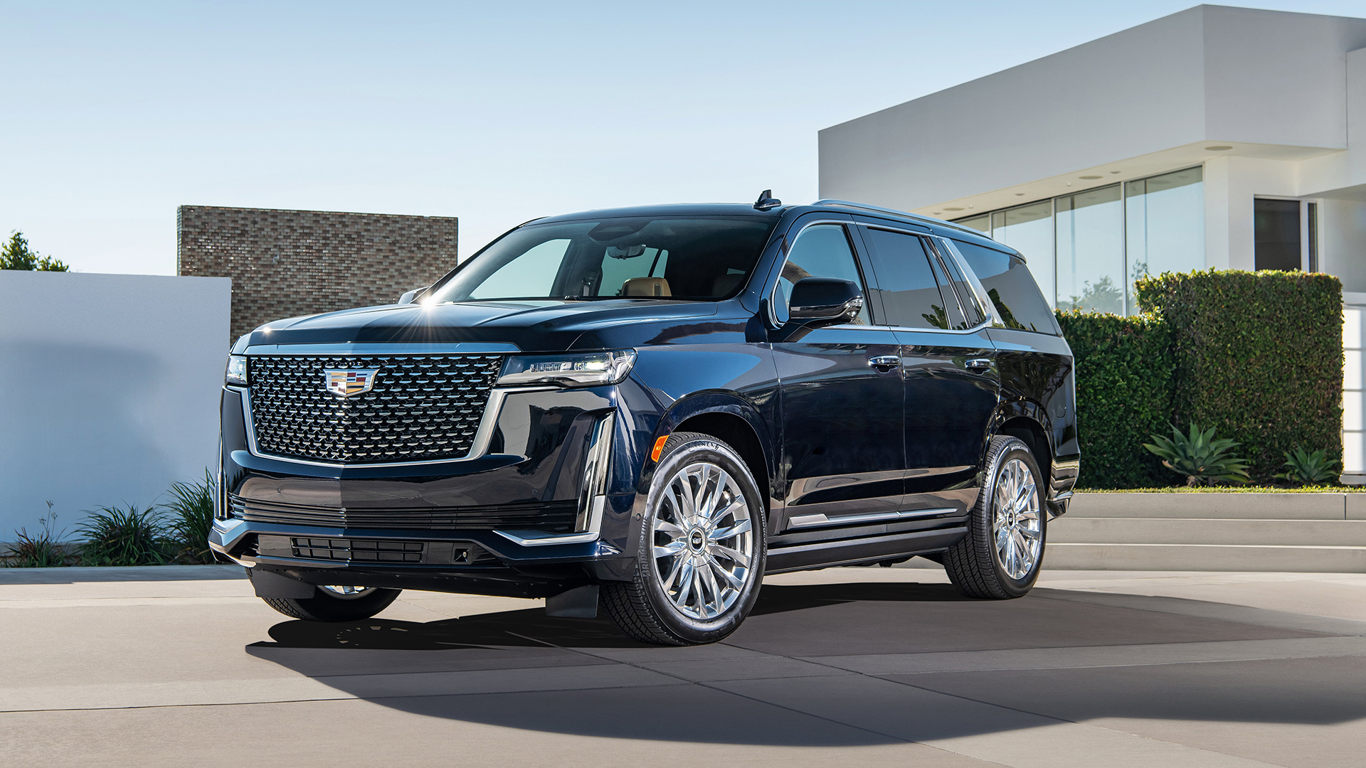 CADPAUTESC 3 | Memo Lira