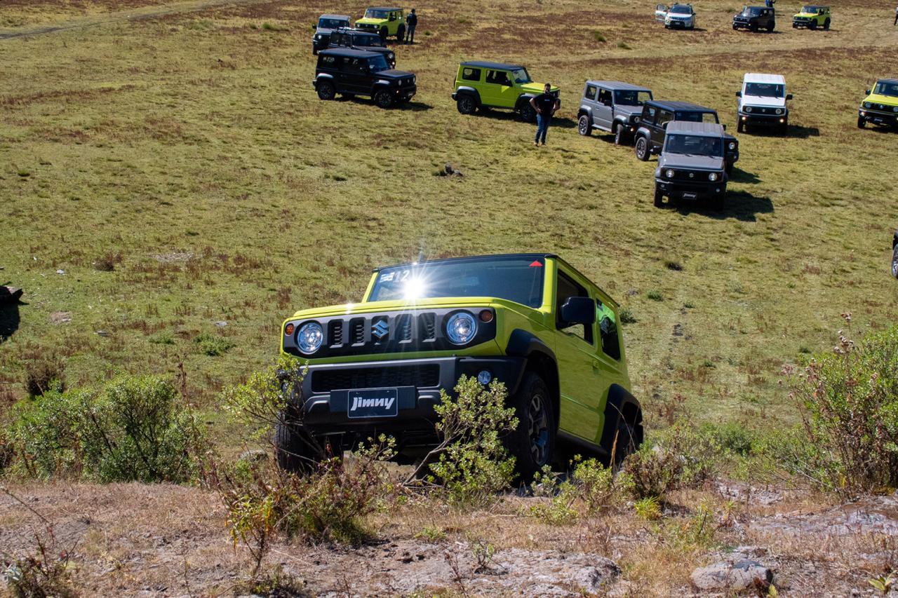 SuzukiPM 31 | Memo Lira