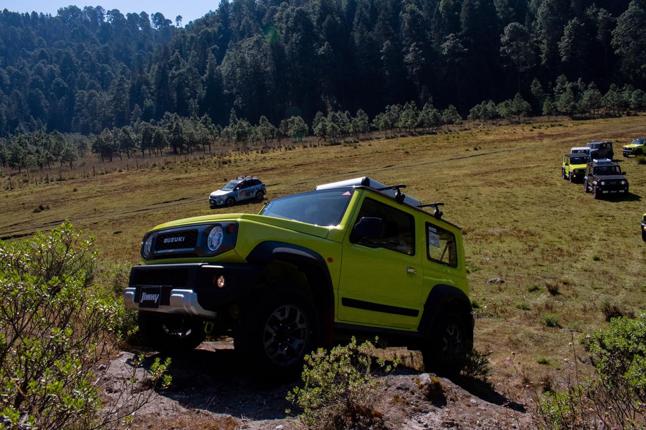 SuzukiPM 34 | Memo Lira