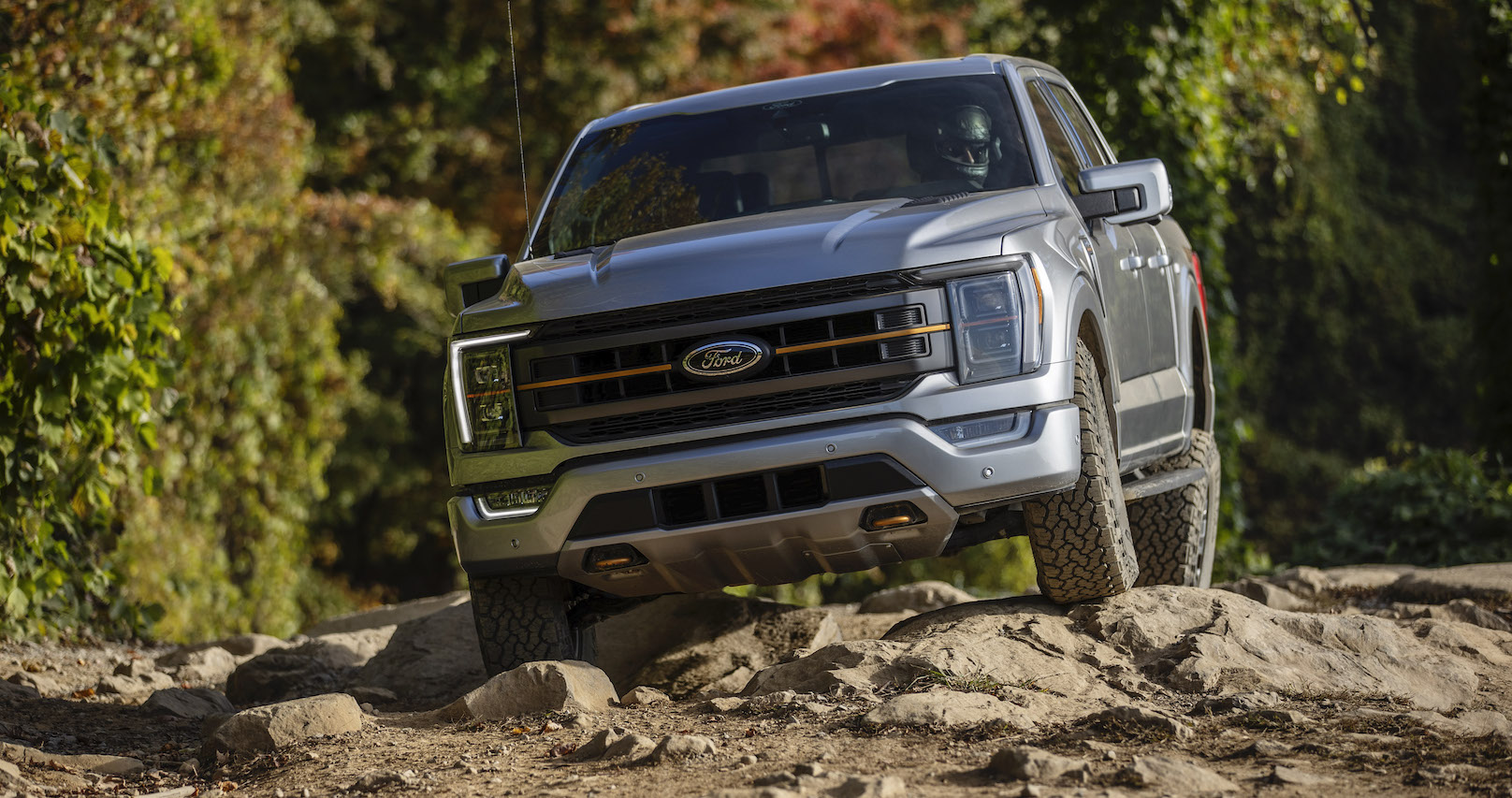 Regresa Lobo Tremor a México