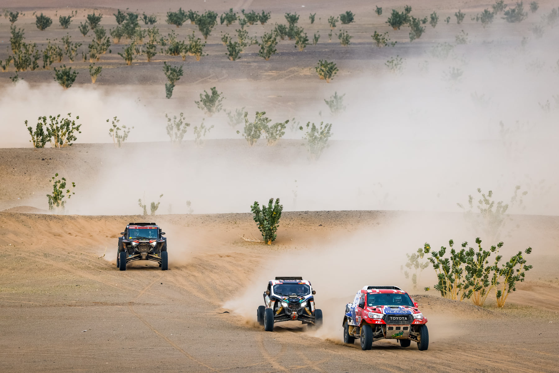 Peterhansel agranda su leyenda en el Rally Dakar | Memo Lira Peterhansel agranda su leyenda en el Rally Dakar