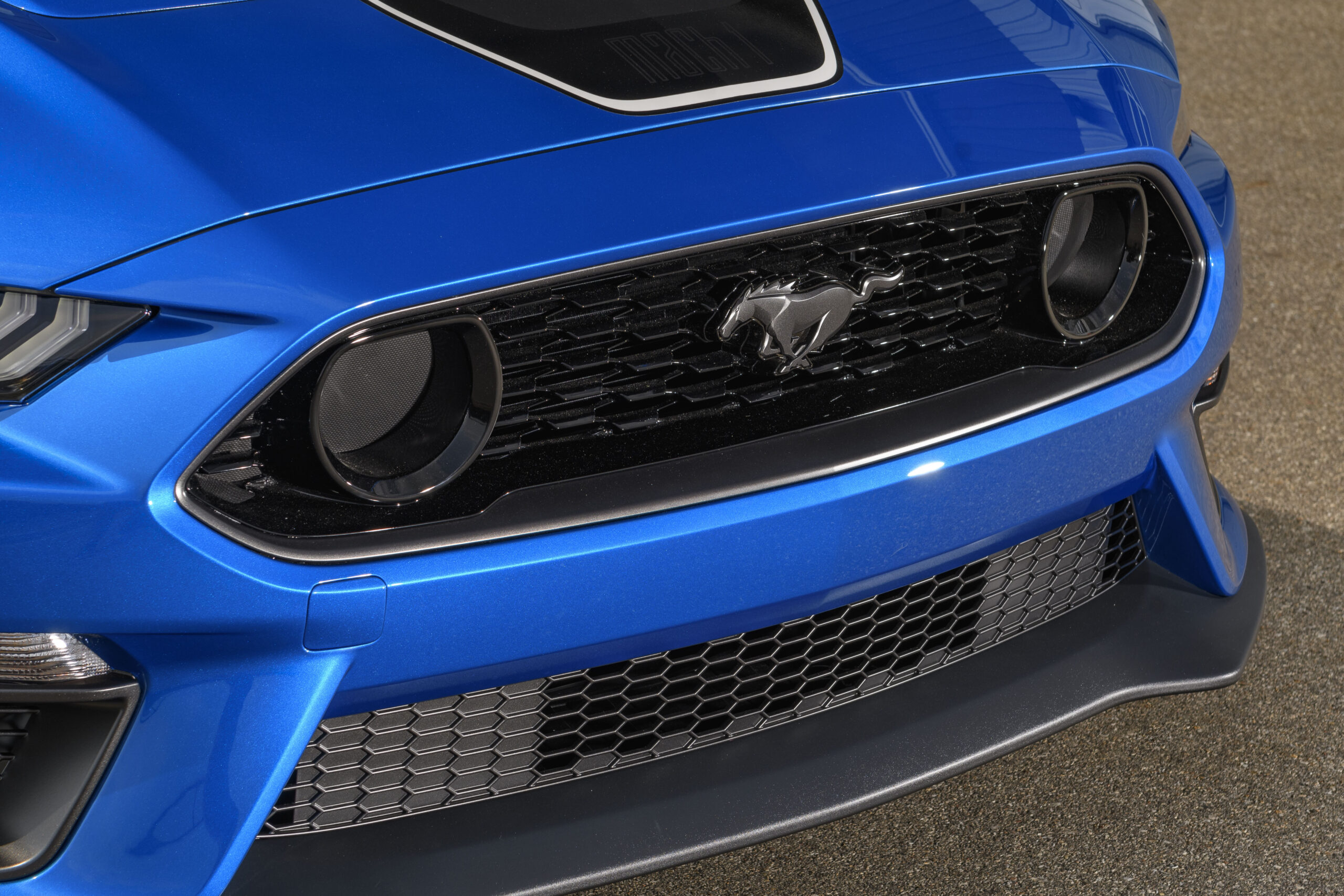 Mach Mustang Mach 1 el regreso de una leyenda7 | Memo Lira Mustang Mach 1 el regreso de una leyenda