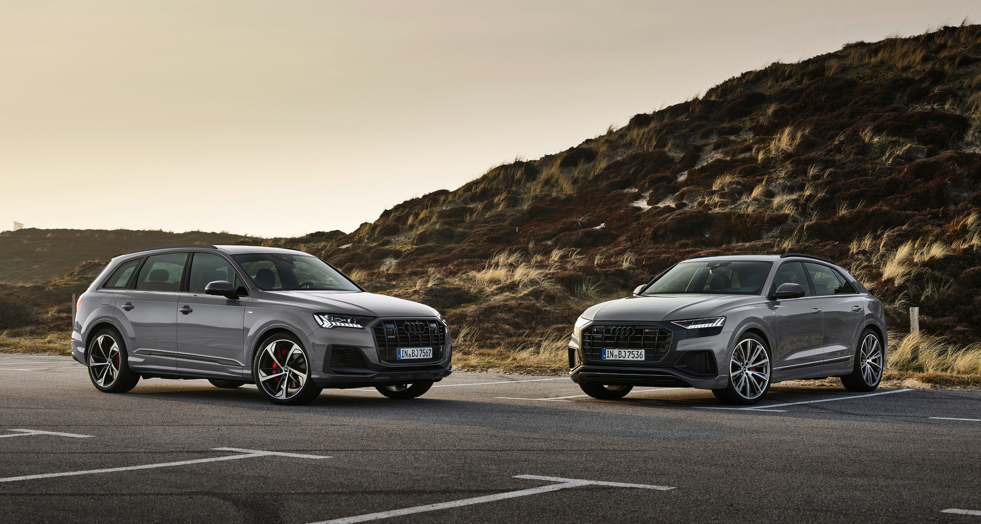 Audi Q7 y Q8