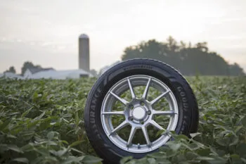 Goodyear Assurance WeatherReady in Soybean Field neumáticos llantas