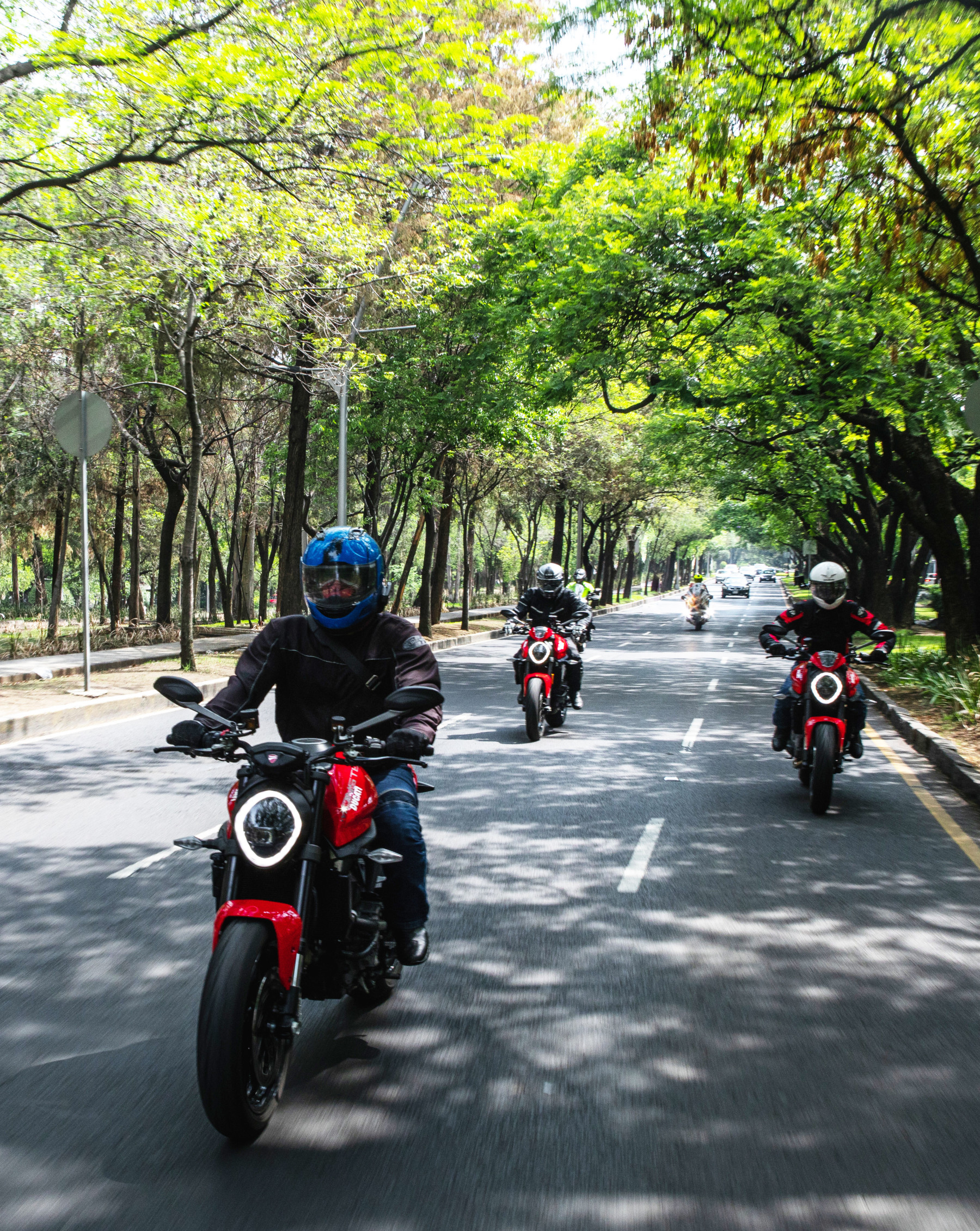 Ducati Monster 9 | Memo Lira