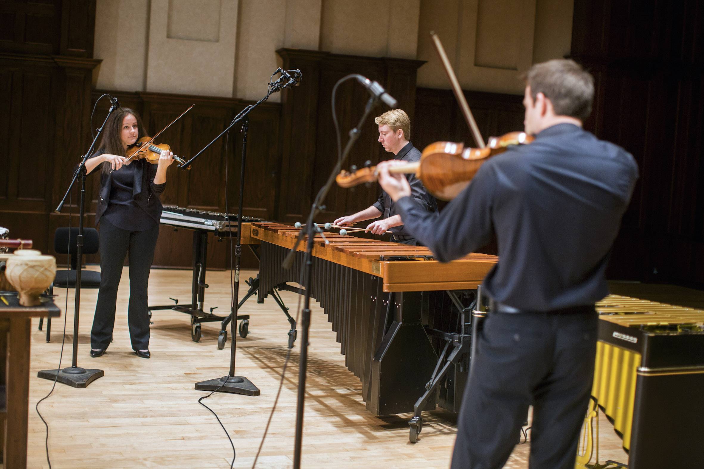 Lincoln Aviator Chimes | Memo Lira lincoln sonidos