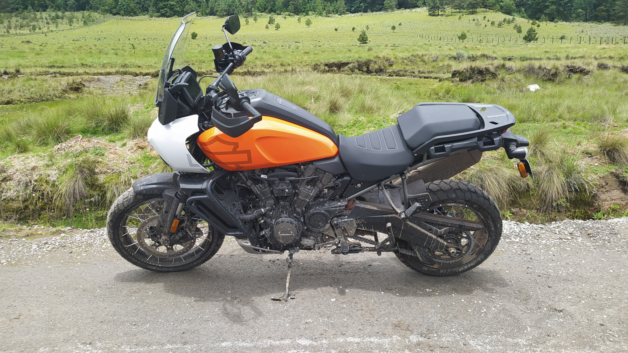 HarleyDavidson Pan America 1250 Special 2 | Memo Lira