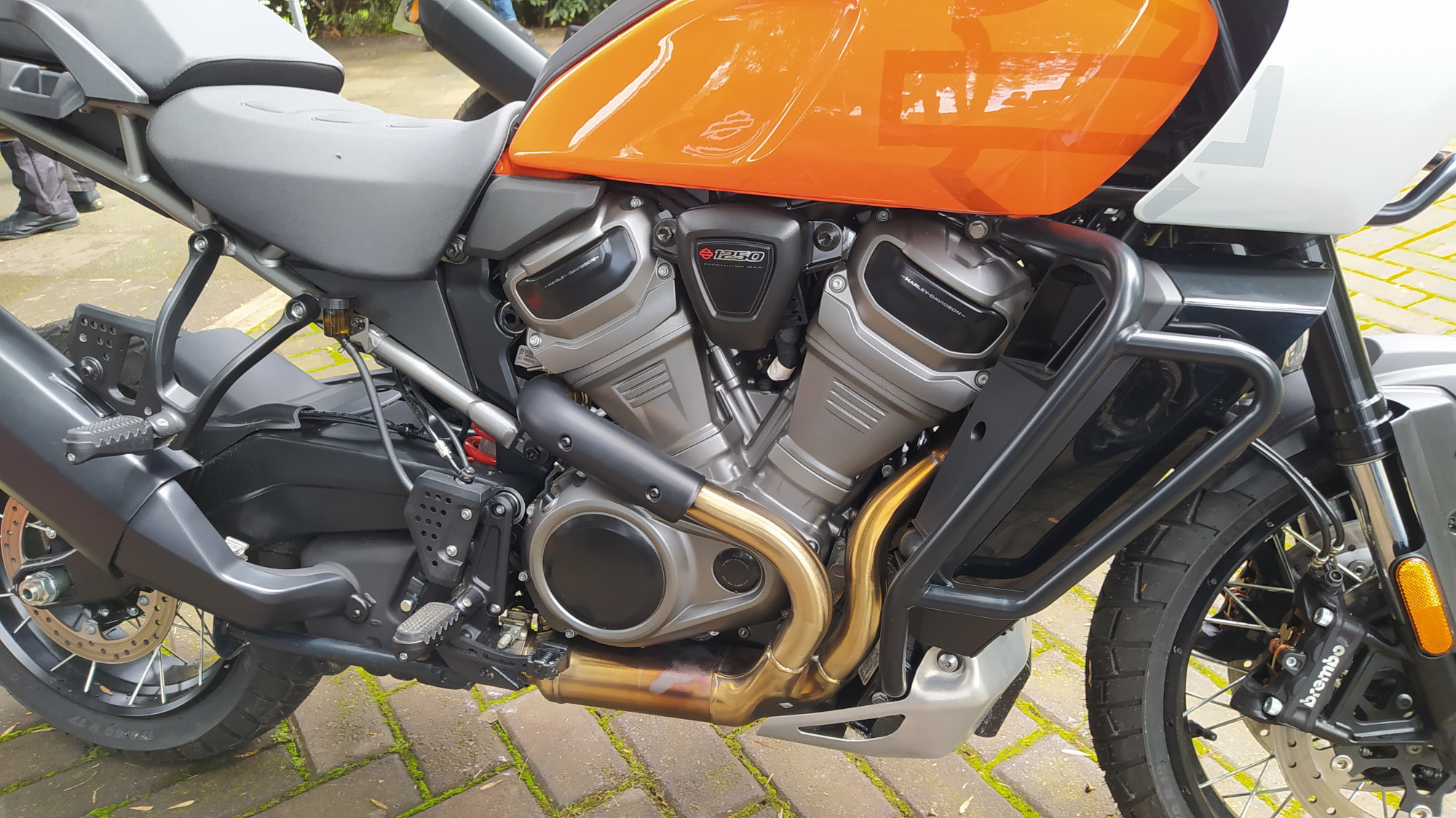 HarleyDavidson Pan America 1250 Special 4 | Memo Lira Motor Revolution Max