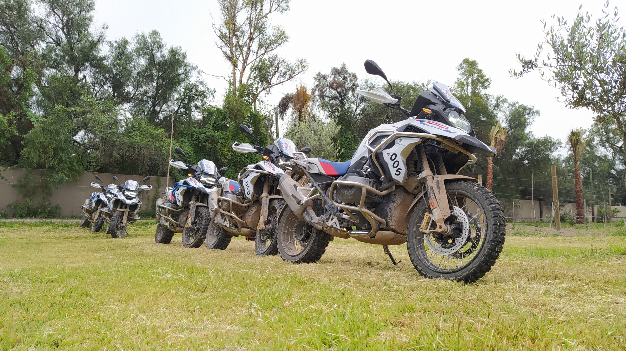 GS Trophy 3 | Memo Lira