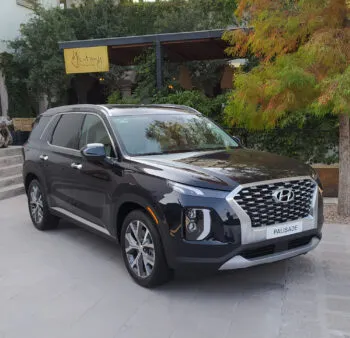 Hyundai Palisade (1)