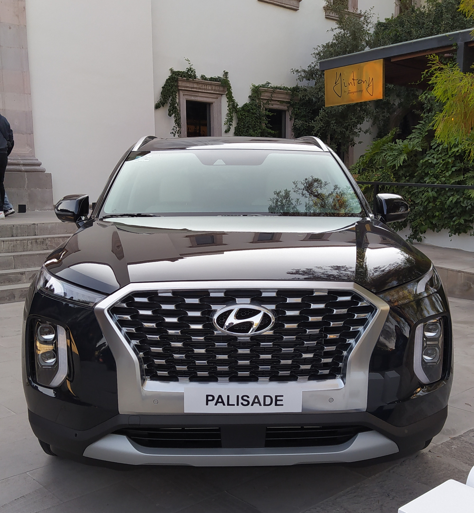 Hyundai Palisade 2 | Memo Lira