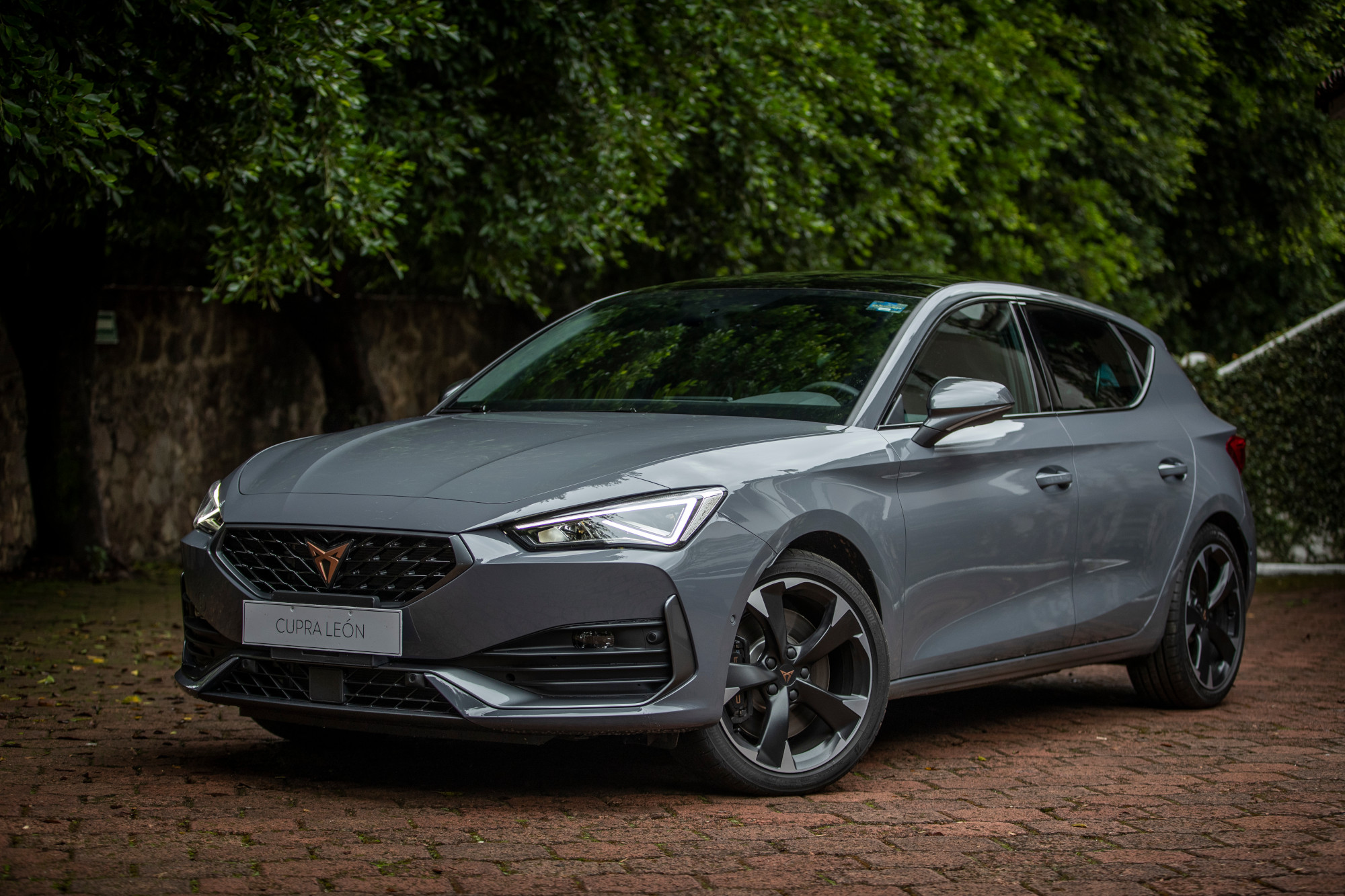 Cupra León 245 2 | Memo Lira