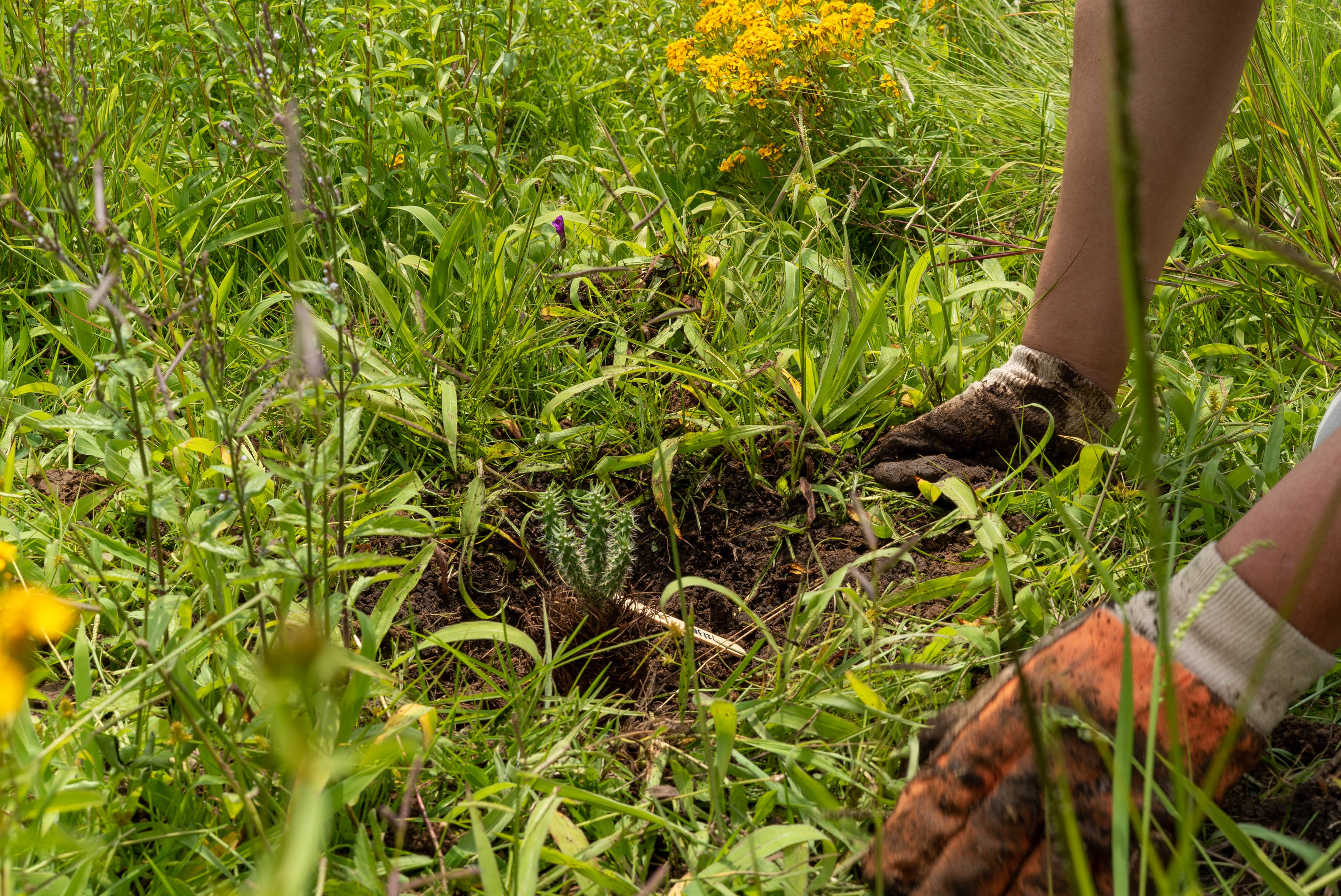 BMW i siempre viendo por un futuro mejor | Memo Lira BMW i siempre viendo por un futuro mejor