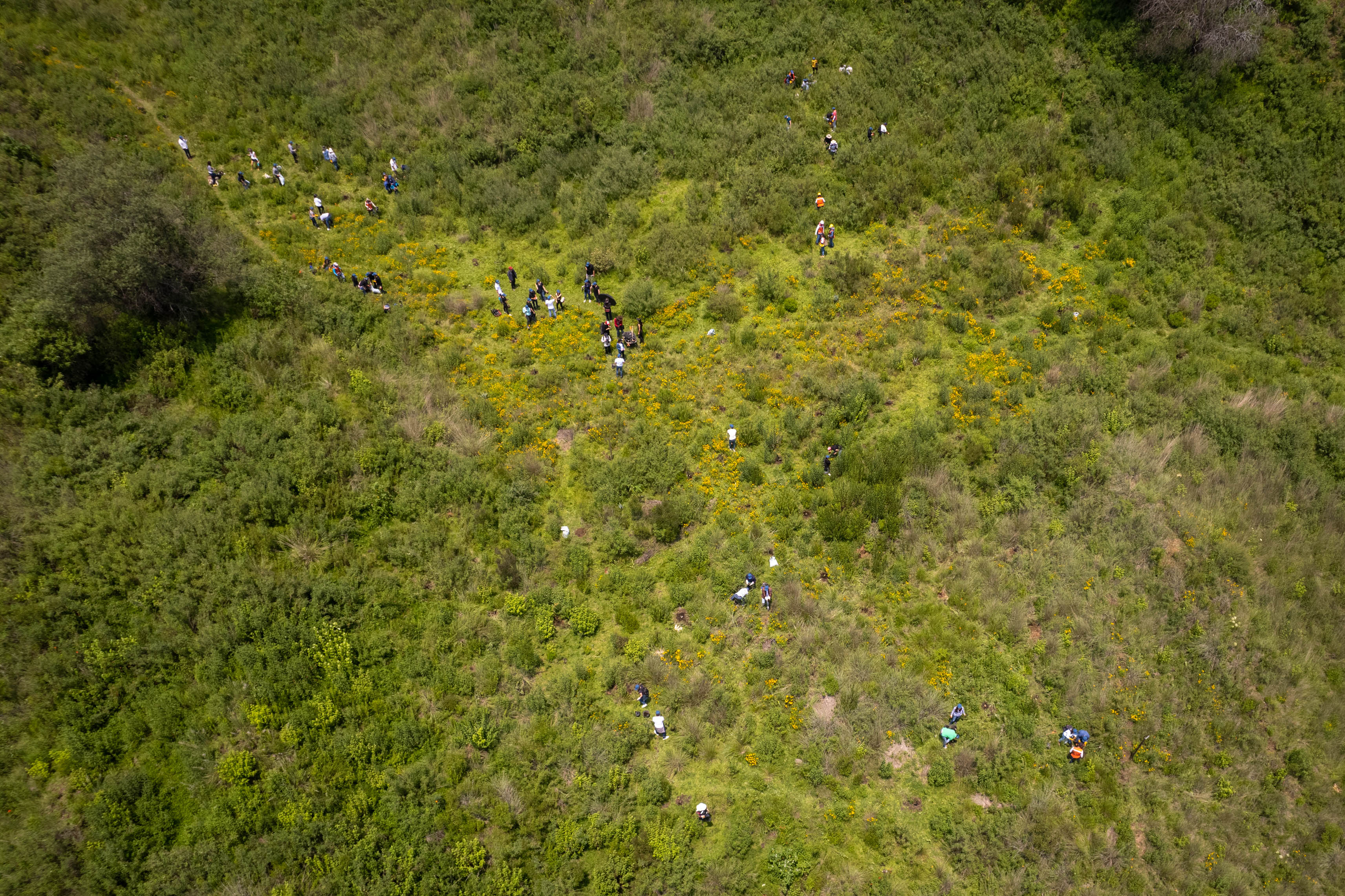 BMW i siempre viendo por un futuro mejor | Memo Lira BMW i siempre viendo por un futuro mejor