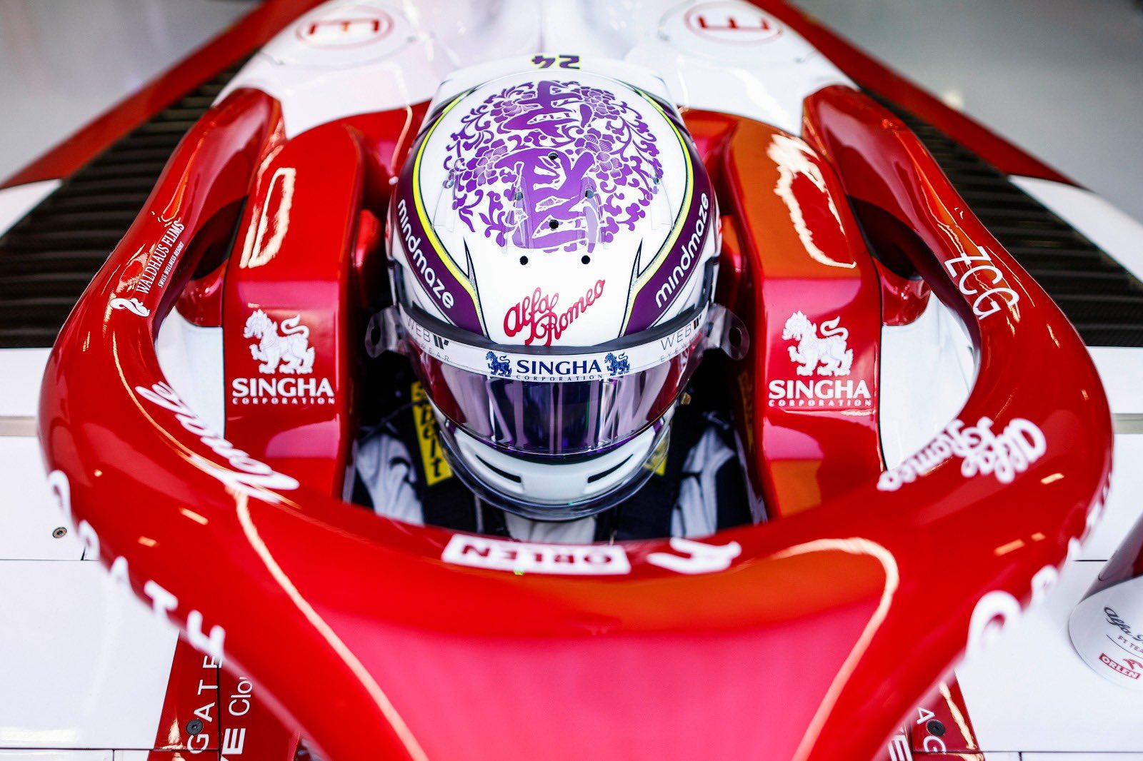 Qué es el Halo y cómo salva vidas | Memo Lira Qué es el Halo y cómo salva vidas