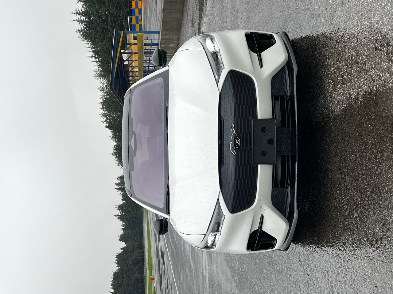 Mustang Mach E 1 | Memo Lira Mustang Mach E hablemos de velocidad