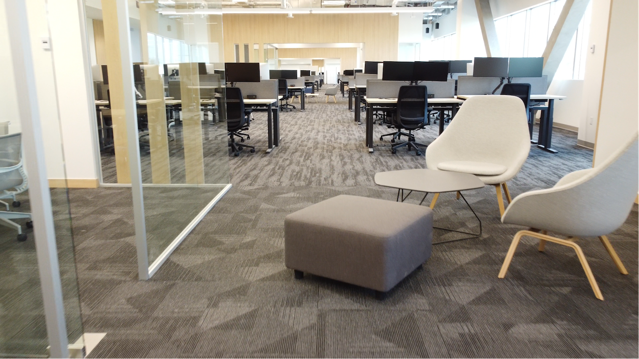 GTBC Ford | Memo Lira