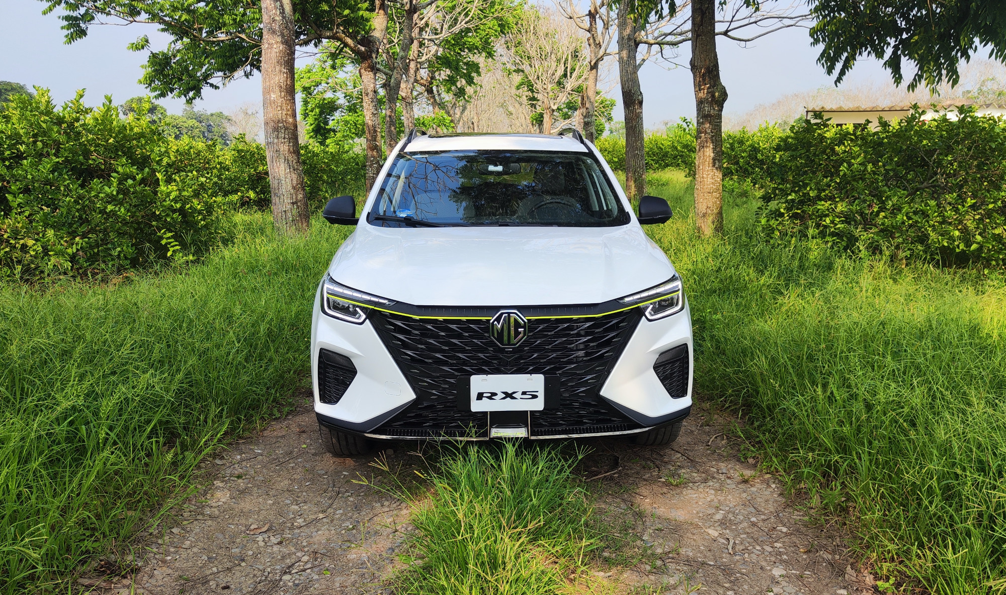 MG RX5 Memo Lira MG RX5