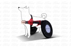 Ford P-Raptor, vehículo para perros con movilidad limitada