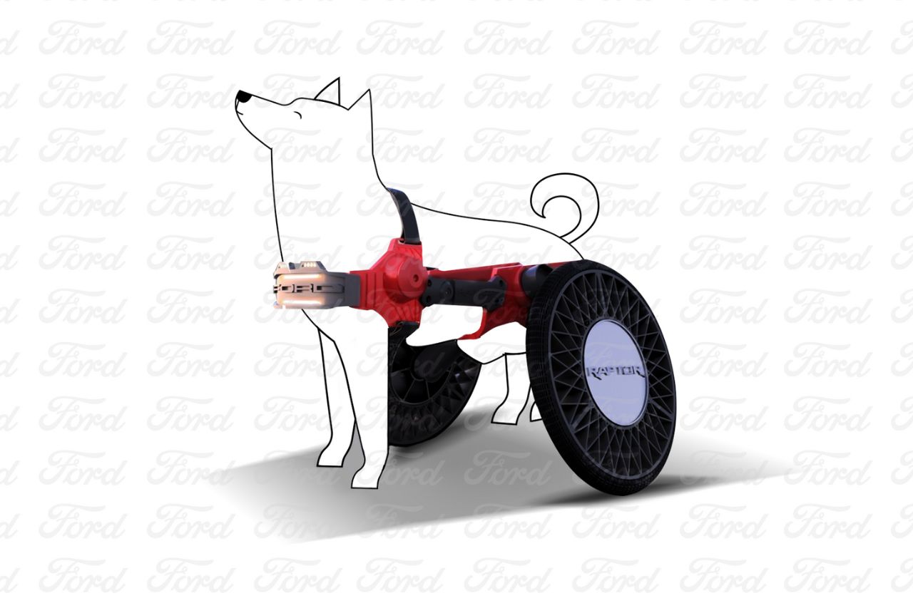Ford P Raptor vehículo para perros con movilidad limitada