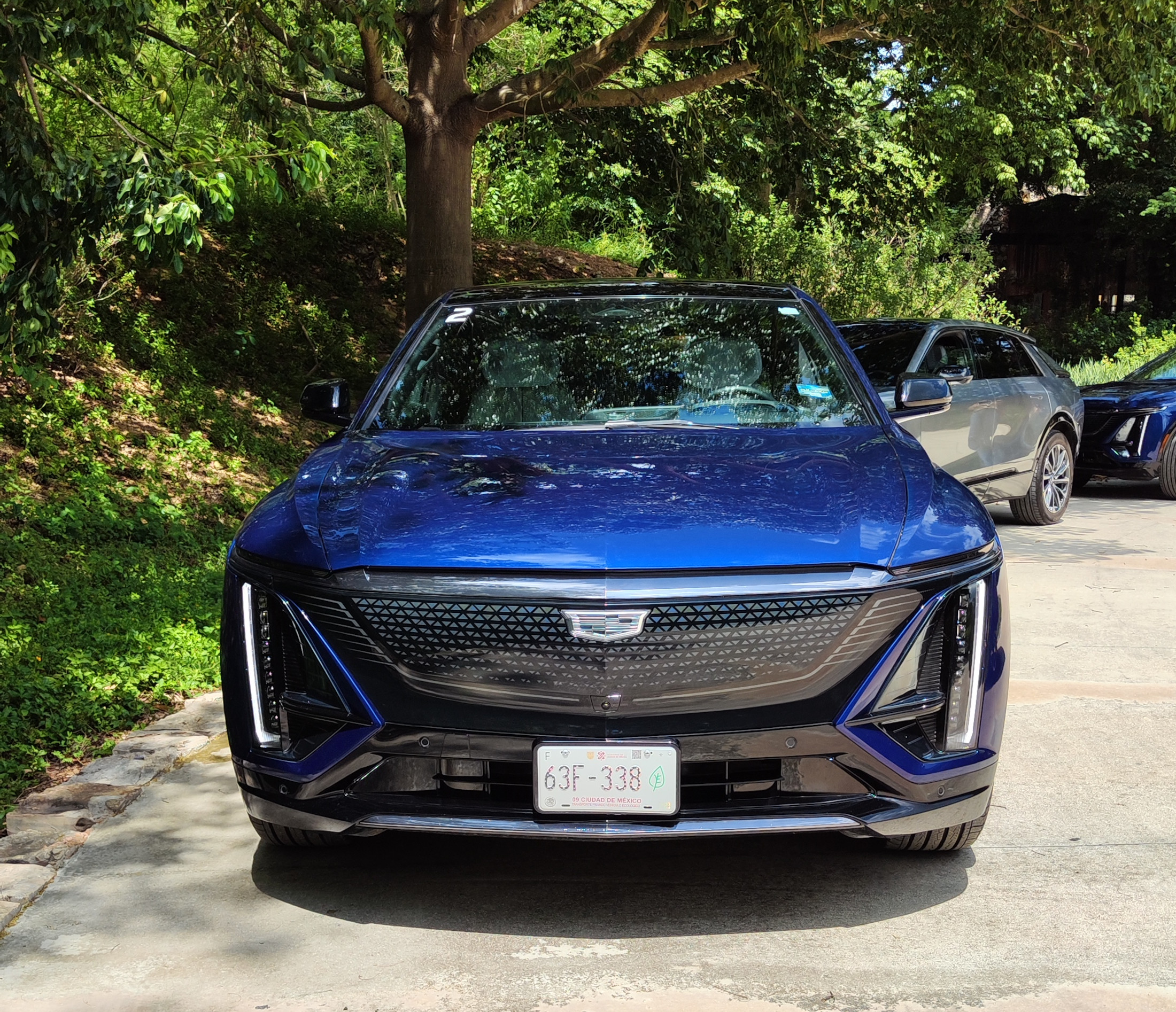 Parrilla Black Cristal Shield 