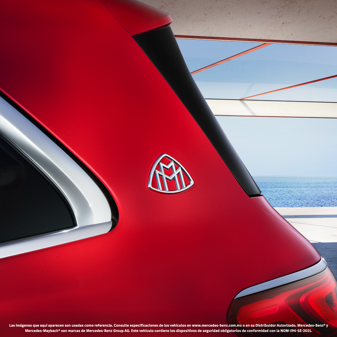 Carrusel1 | Memo Lira