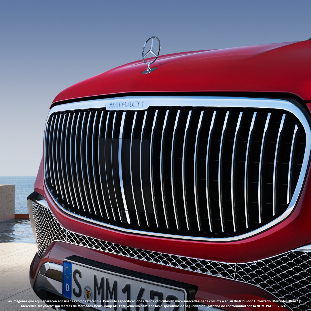 Carrusel2 | Memo Lira