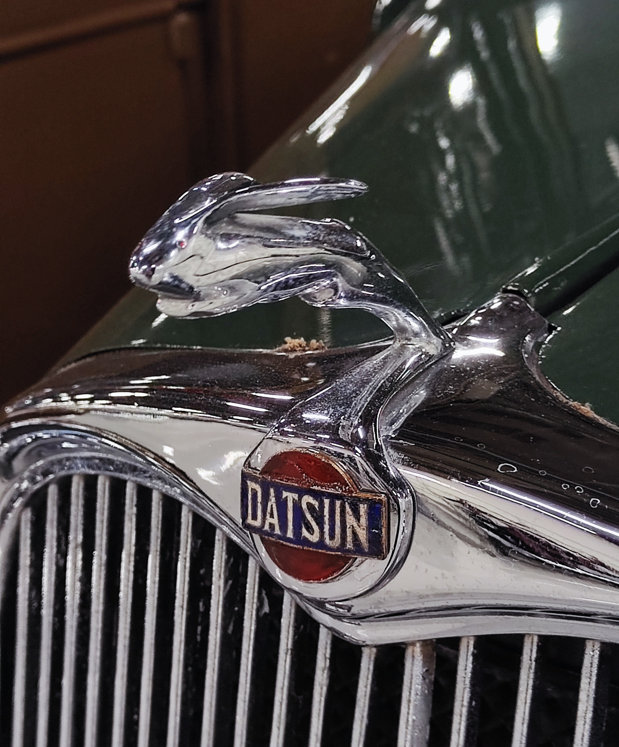 Datsun detalle | Memo Lira