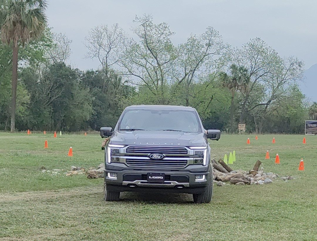 Ford Lobo 3 | Memo Lira