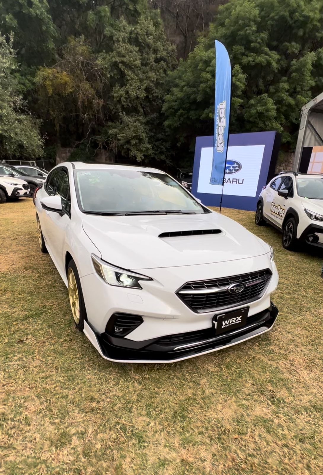 SubaruSportwagon | Memo Lira Subaru WRX Sportwagon blanca