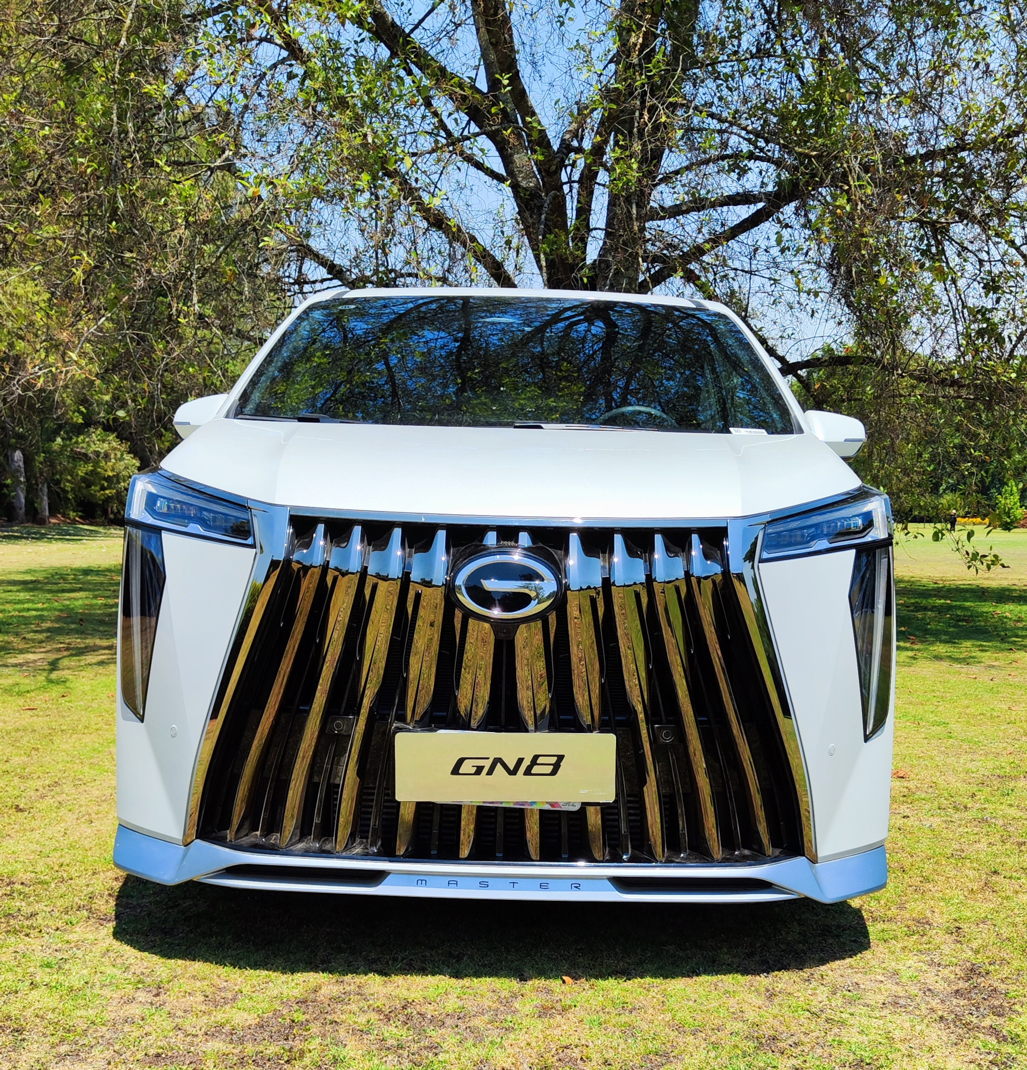 GAC Motor GN8 2 | Memo Lira