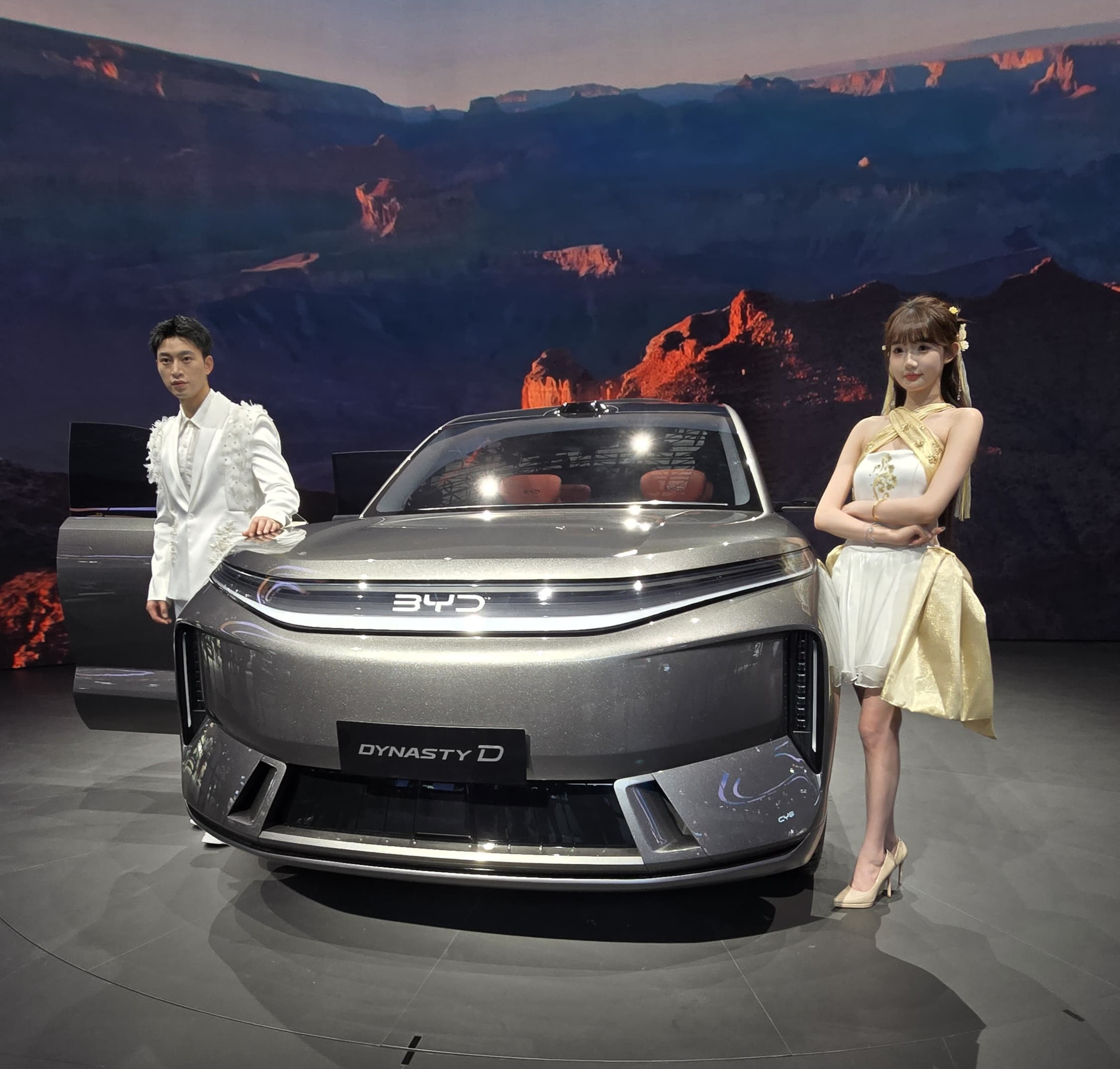 Dynasty D | Memo Lira Dynasty D