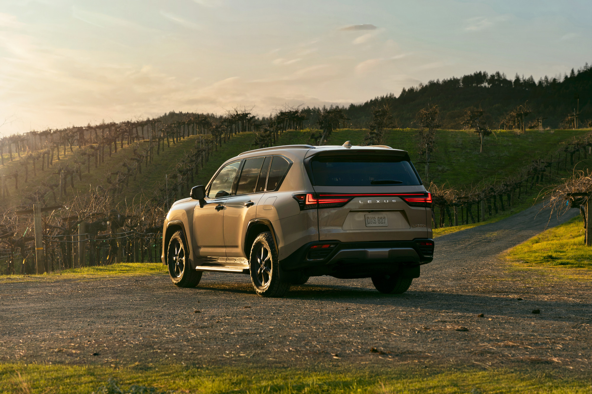 Lexus LX700h 5 | Memo Lira