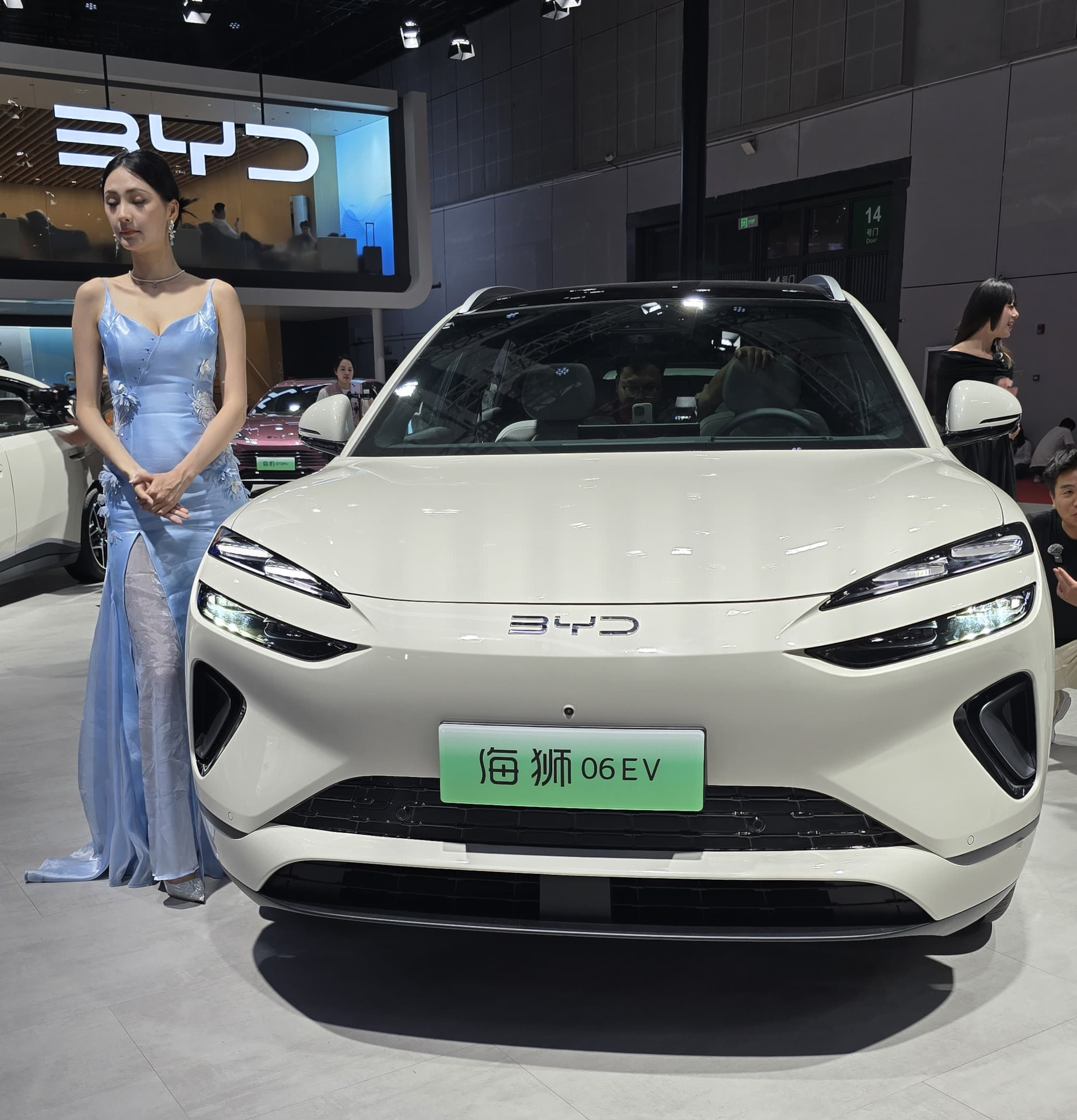 Sealion 06 | Memo Lira Sealion 06